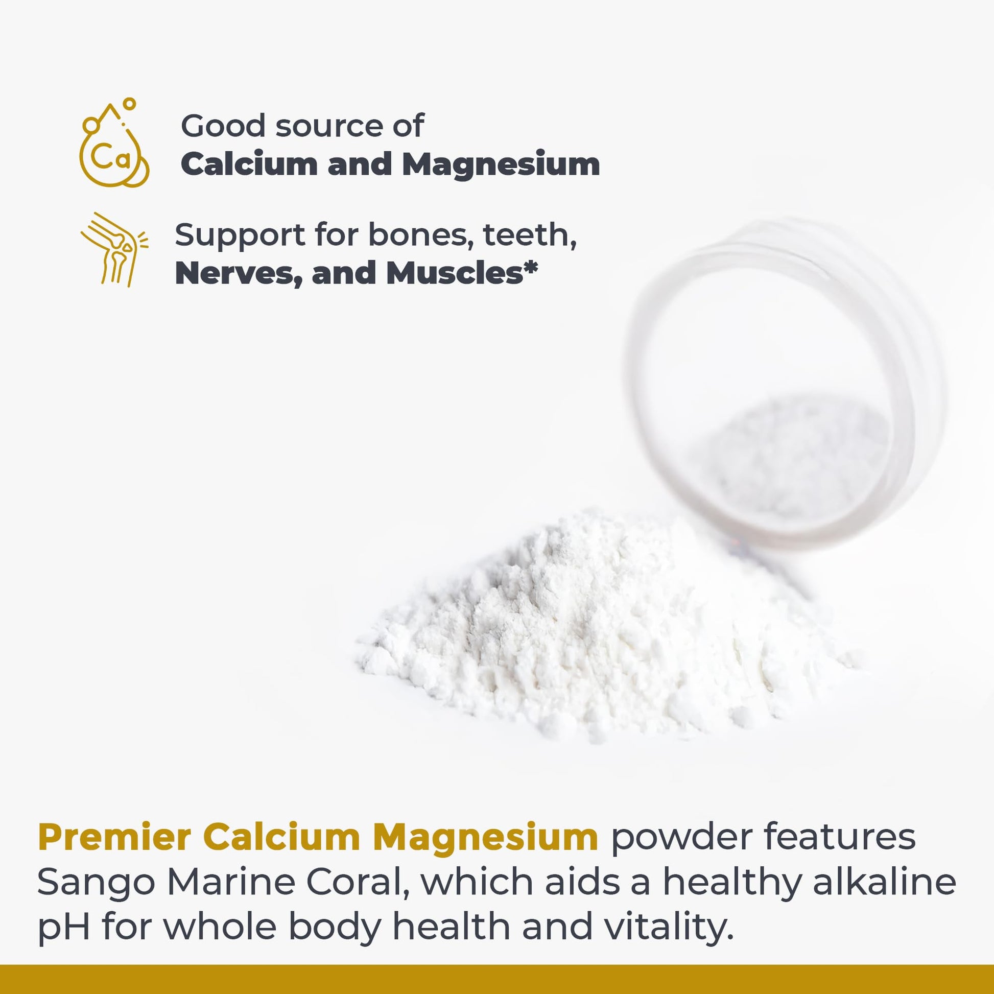 Premier Research Labs Calcium Magnesium Powder - Natural Coral Calcium Powder for Bone Health, Mix with Water for Alkaline PH Balance - 8 oz - dailyvitalstore