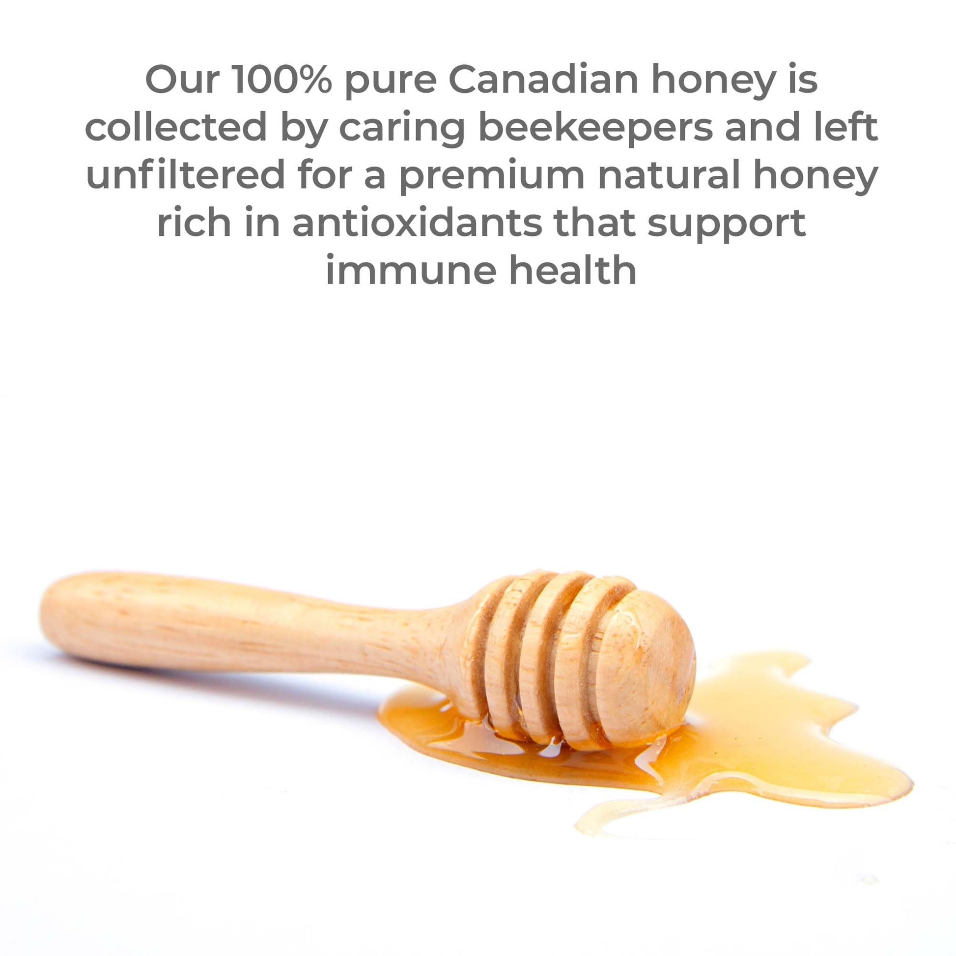 Premier Research Labs Canadian Gold Honey - Raw Honey, Pure Honey, Raw Unpasteurized Honey, Unfiltered, 100% Pure, Sugar-Free, Unprocessed Wildflower Honey - 1 lb Jar - dailyvitalstore