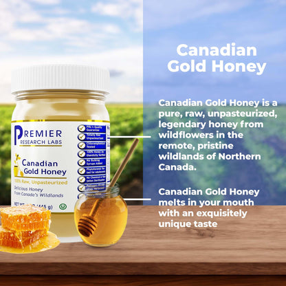 Premier Research Labs Canadian Gold Honey - Raw Honey, Pure Honey, Raw Unpasteurized Honey, Unfiltered, 100% Pure, Sugar-Free, Unprocessed Wildflower Honey - 1 lb Jar - dailyvitalstore