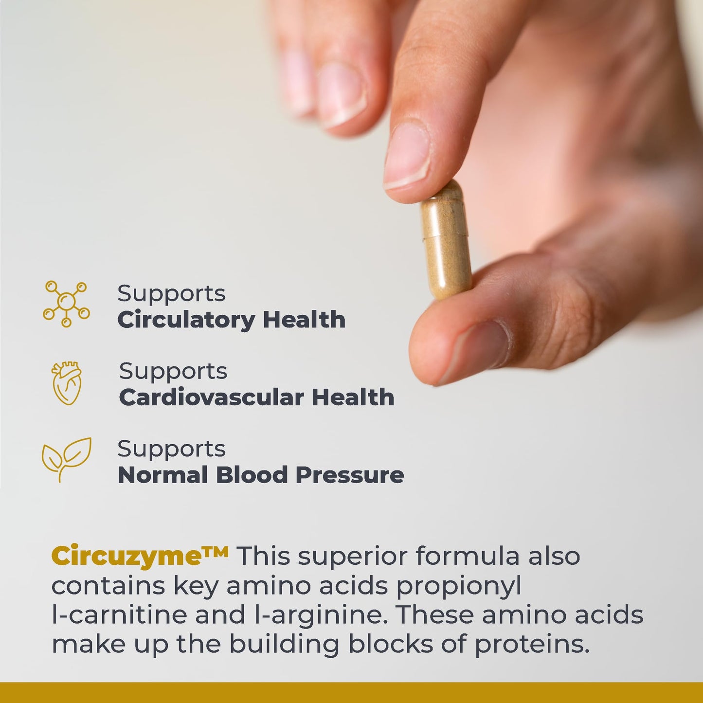 Premier Research Labs CircuZyme - Blood Circulation Supplements Supporting Blood Flow & Vascular Support Featuring Diosmin, Cayenne & Nattokinase, for Men and Women - 60 Vegetarian Capsules - dailyvitalstore