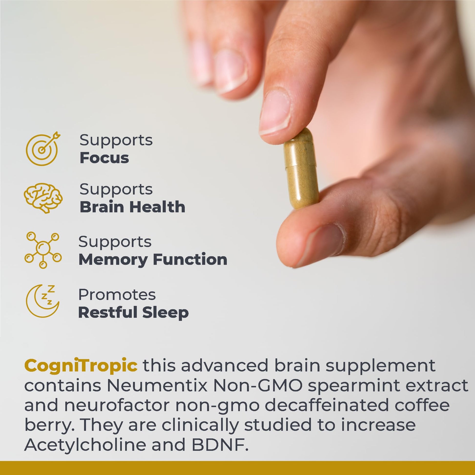 Premier Research Labs Cognitropic - Brain Supplements for Memory and Focus, Focus Supplement, Brain and Memory Power Boost, Clarity Vitamins for Brain, Memory Support - 120 Vegetarian Capsules - dailyvitalstore