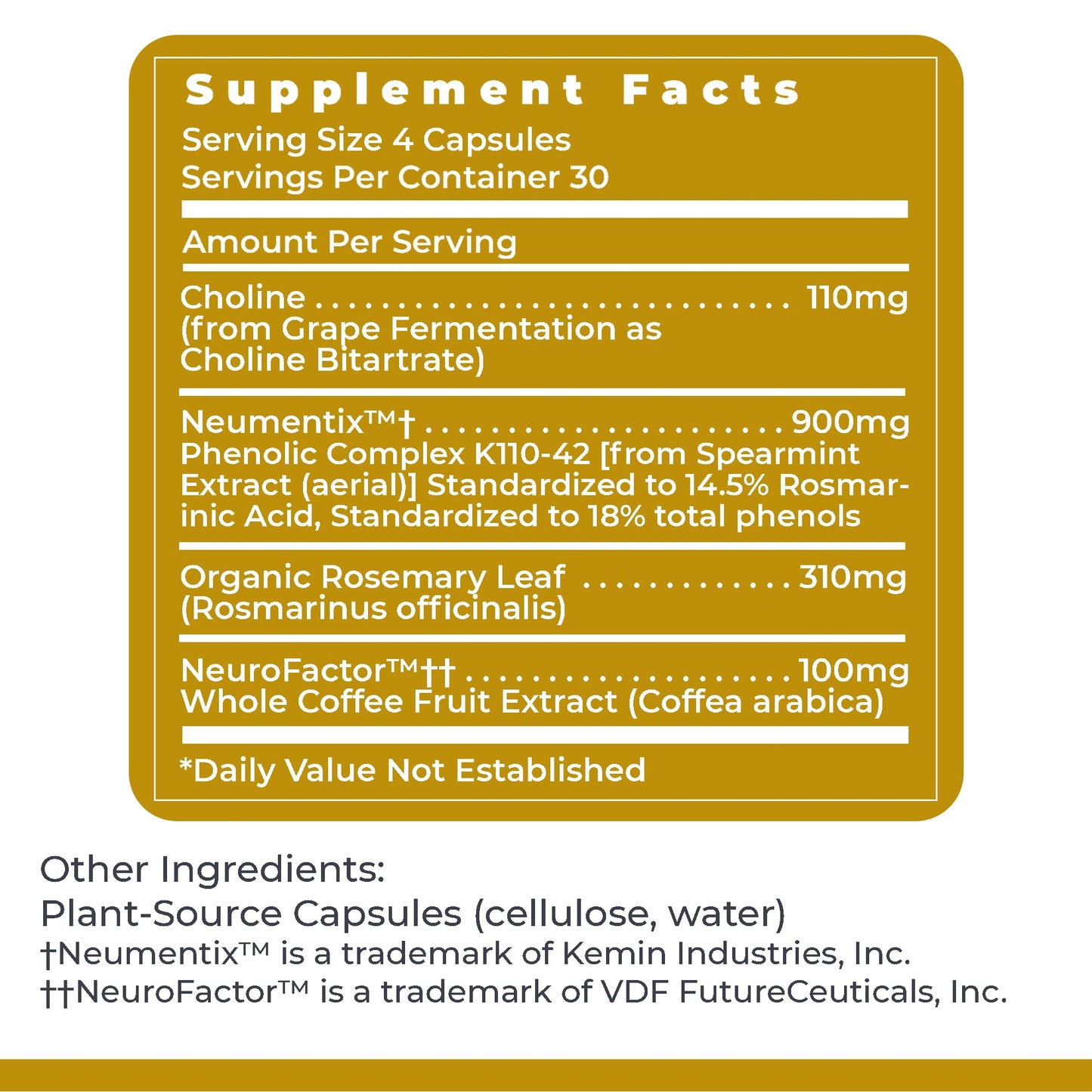 Premier Research Labs Cognitropic - Brain Supplements for Memory and Focus, Focus Supplement, Brain and Memory Power Boost, Clarity Vitamins for Brain, Memory Support - 120 Vegetarian Capsules - dailyvitalstore