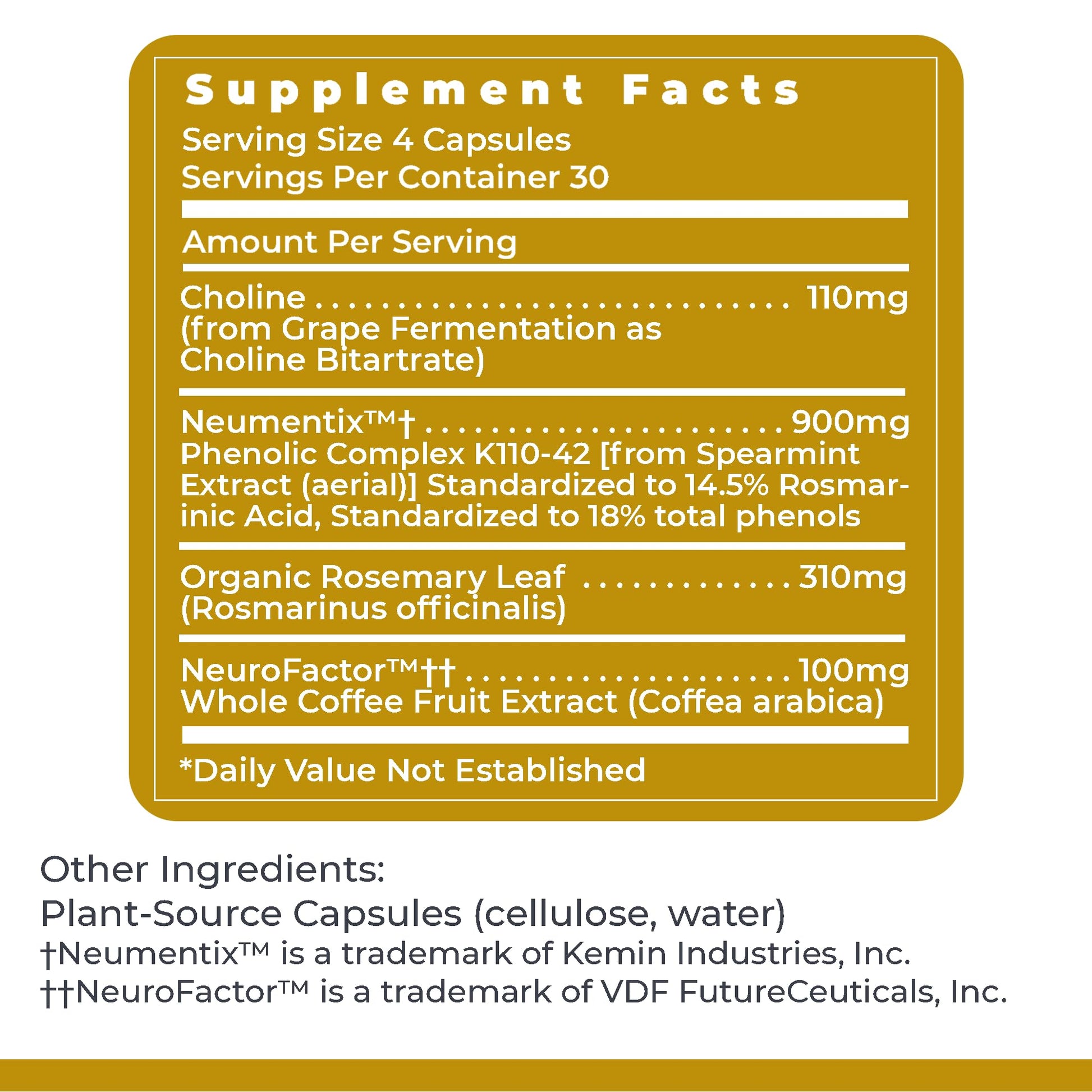 Premier Research Labs Cognitropic - Brain Supplements for Memory and Focus, Focus Supplement, Brain and Memory Power Boost, Clarity Vitamins for Brain, Memory Support - 120 Vegetarian Capsules - dailyvitalstore