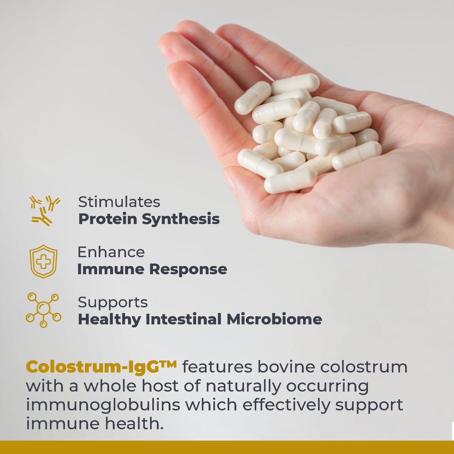 Premier Research Labs Colostrum-IgG - Colostrum Supplement, Bovine Colostrum for Humans, Cow Colostrum for Immune Health, Superfood with Lactoferrin, Amino Acids, Nucleotides - 60 Capsules - dailyvitalstore
