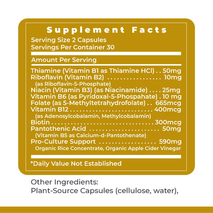Premier Research Labs Complete B - Vitamin B Complex Supplement for Optimal Health | Vitamin B Supplement with Biotin | 9 Active B Vitamins | for Liver, Energy & Brain Support - 60 Capsules - dailyvitalstore