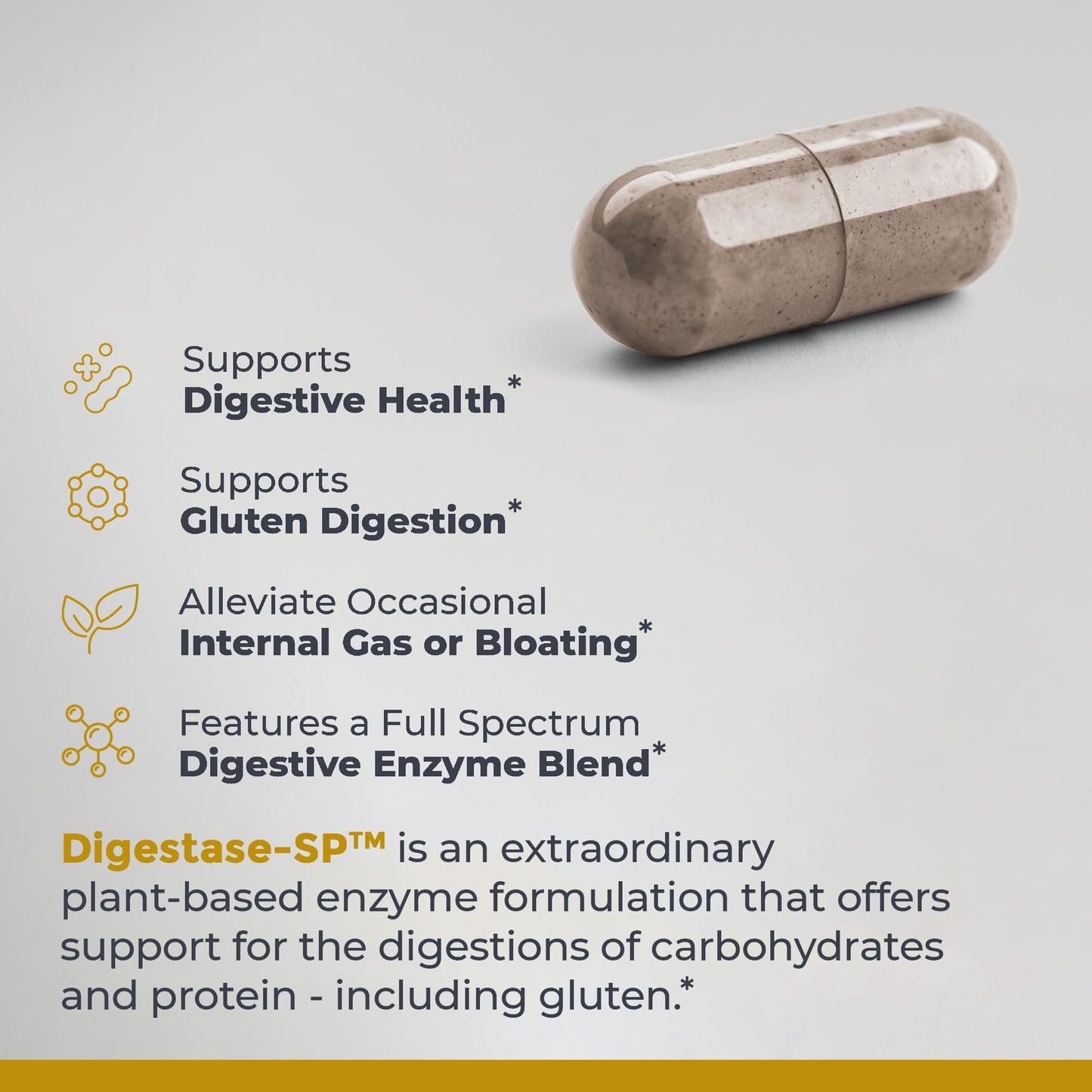 Premier Research Labs Digestase-SP - Enzymes for Digestion, Fermented Digestive Enzymes for Women & Men, Gut Health Support Pills with Peptidase, Hemicellulase - 60 Vegetarian Capsules - dailyvitalstore