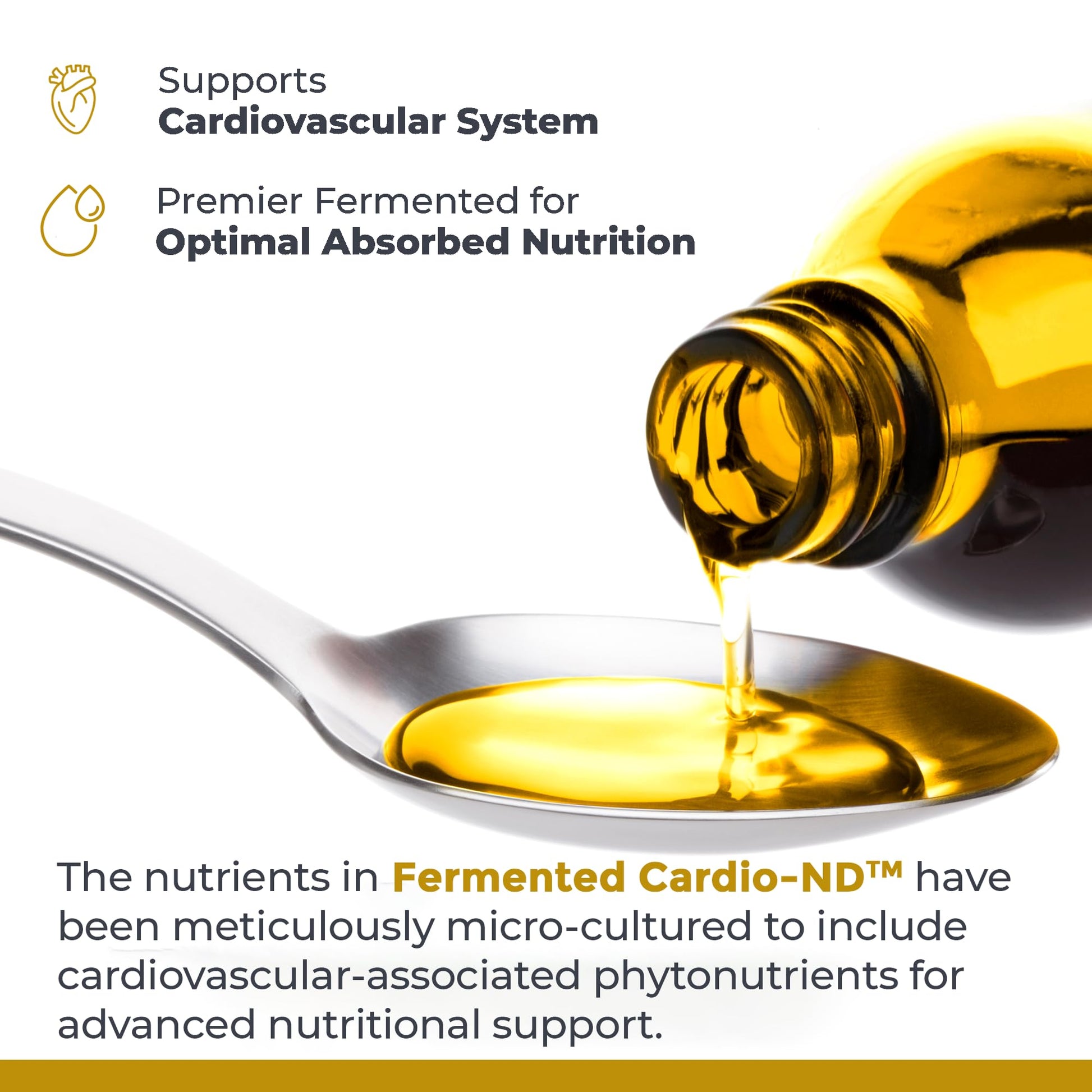 Premier Research Labs Fermented Cardio-ND - Cardio Heart Health, Cardio Support Liquid Fermented in Probiotics for Women, Men, Adults, Supports Heart Health with Hawthorne Berry - 8 fl oz Bottle - dailyvitalstore