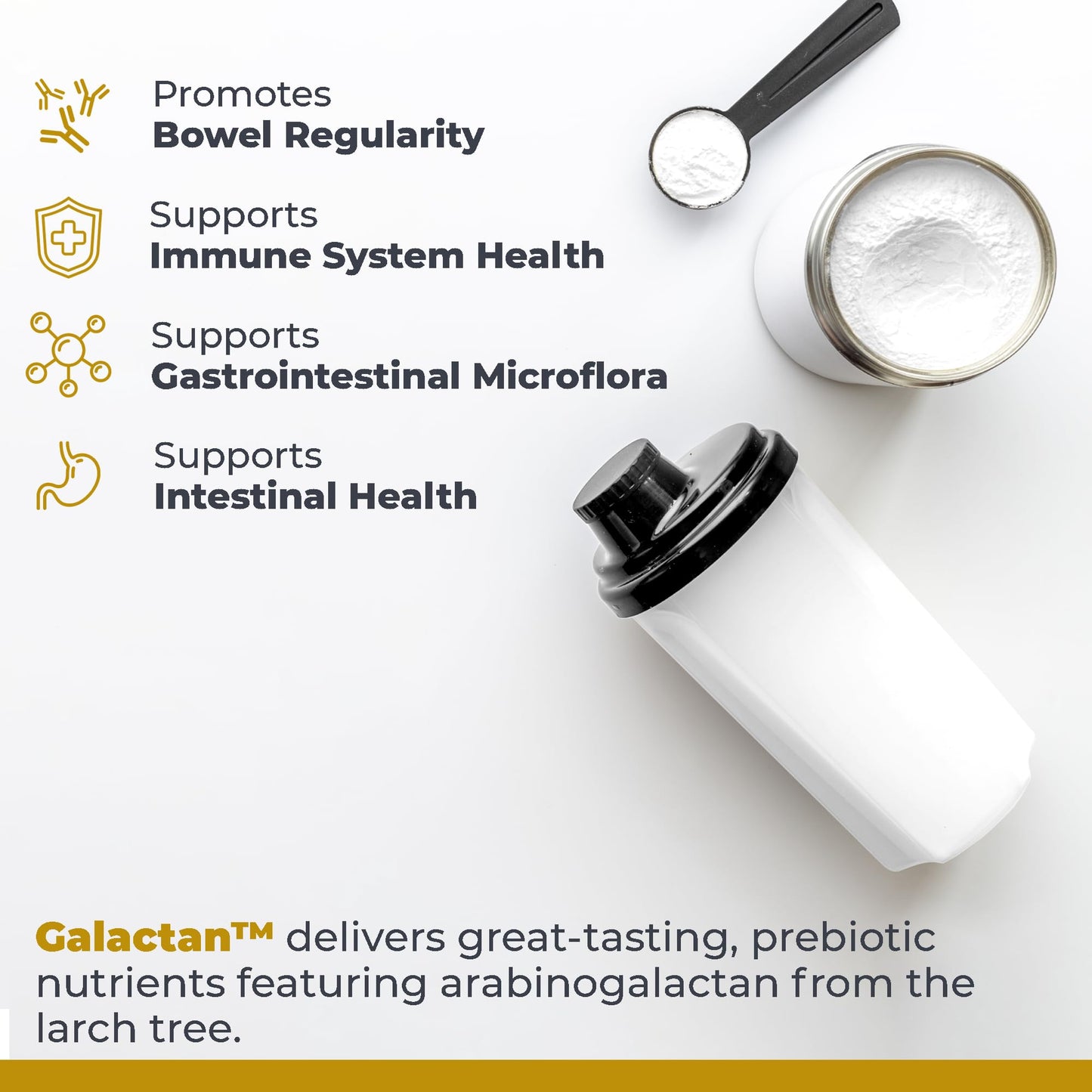 Premier Research Labs Galactan - Larch Arabinogalactan Powder for Men & Women, Prebiotic Fiber Powder for Healthy Gut Microbiome, Larch Tree Extract, Calcium - 8 oz - dailyvitalstore