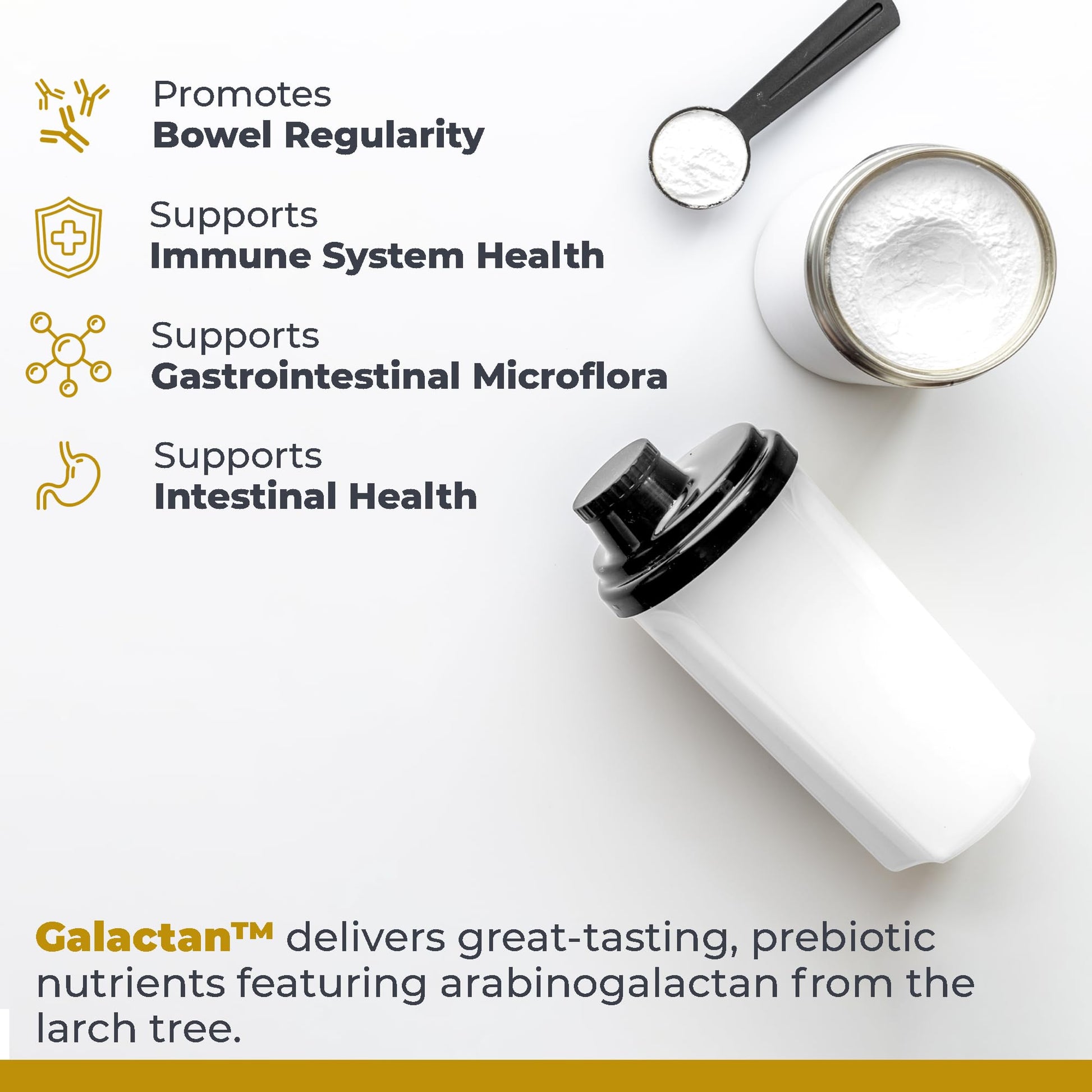 Premier Research Labs Galactan - Larch Arabinogalactan Powder for Men & Women, Prebiotic Fiber Powder for Healthy Gut Microbiome, Larch Tree Extract, Calcium - 8 oz - dailyvitalstore