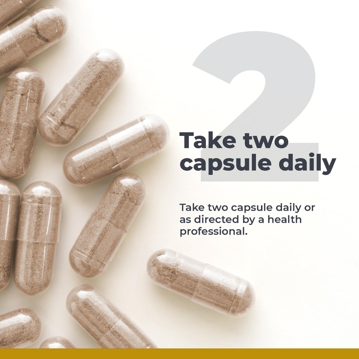Premier Research Labs GastroVen - Digestive Enzymes for Women & Men, Digestive Health Supplement, Supports Healthy Gut Microbiome w/Bromelain, Ginger - 60 Capsules - dailyvitalstore