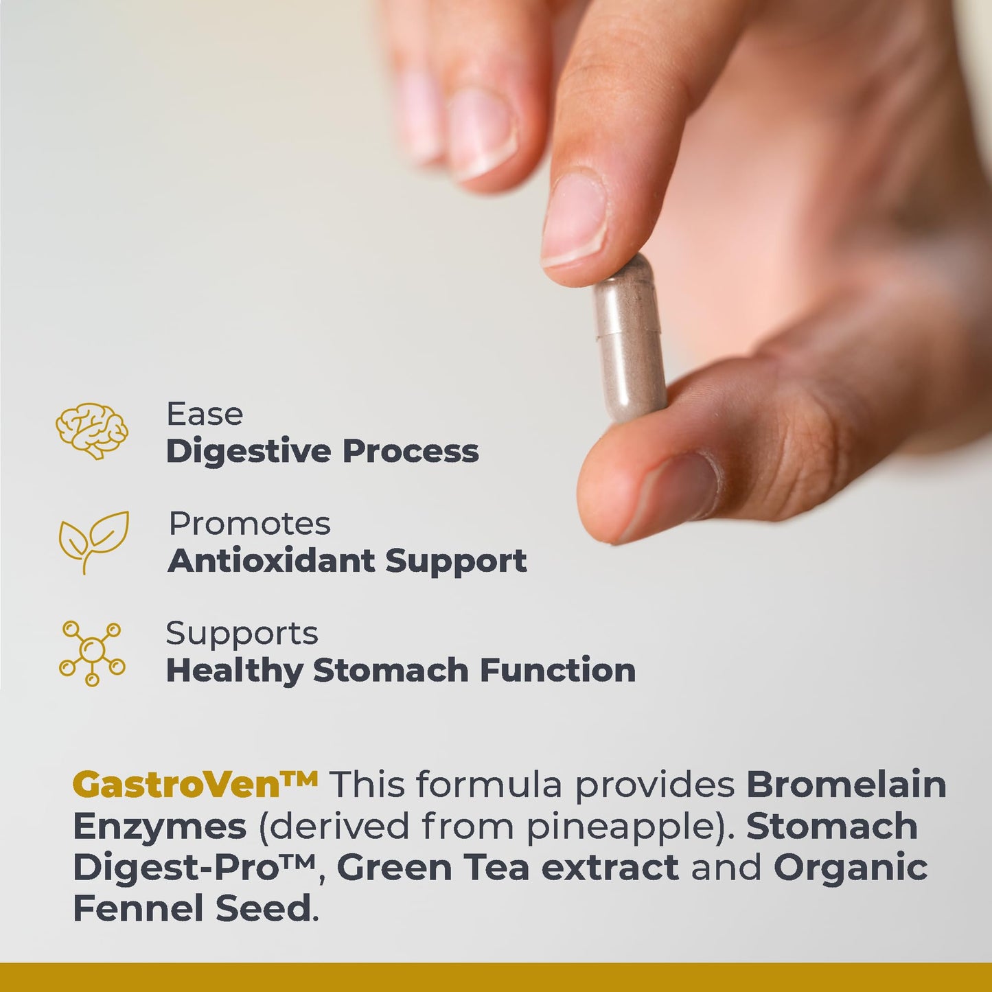 Premier Research Labs GastroVen - Digestive Enzymes for Women & Men, Digestive Health Supplement, Supports Healthy Gut Microbiome w/Bromelain, Ginger - 60 Capsules - dailyvitalstore