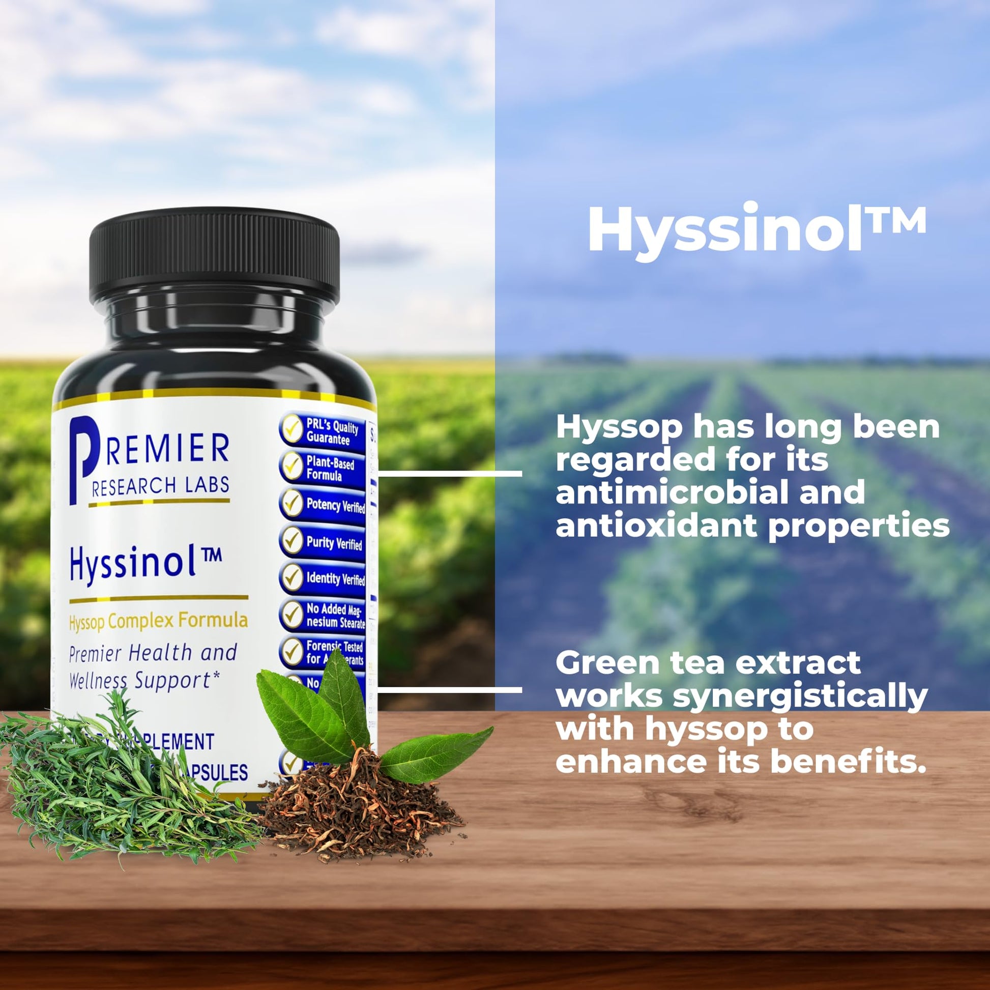 Premier Research Labs Hyssinol - Hyssop Herb, Hyssop Capsules, Wellness Pills with Organic Hyssop Dry Herb, Dietary Supplement with Green Tea, Antioxidant Support - 60 Vegetarian Capsules - dailyvitalstore