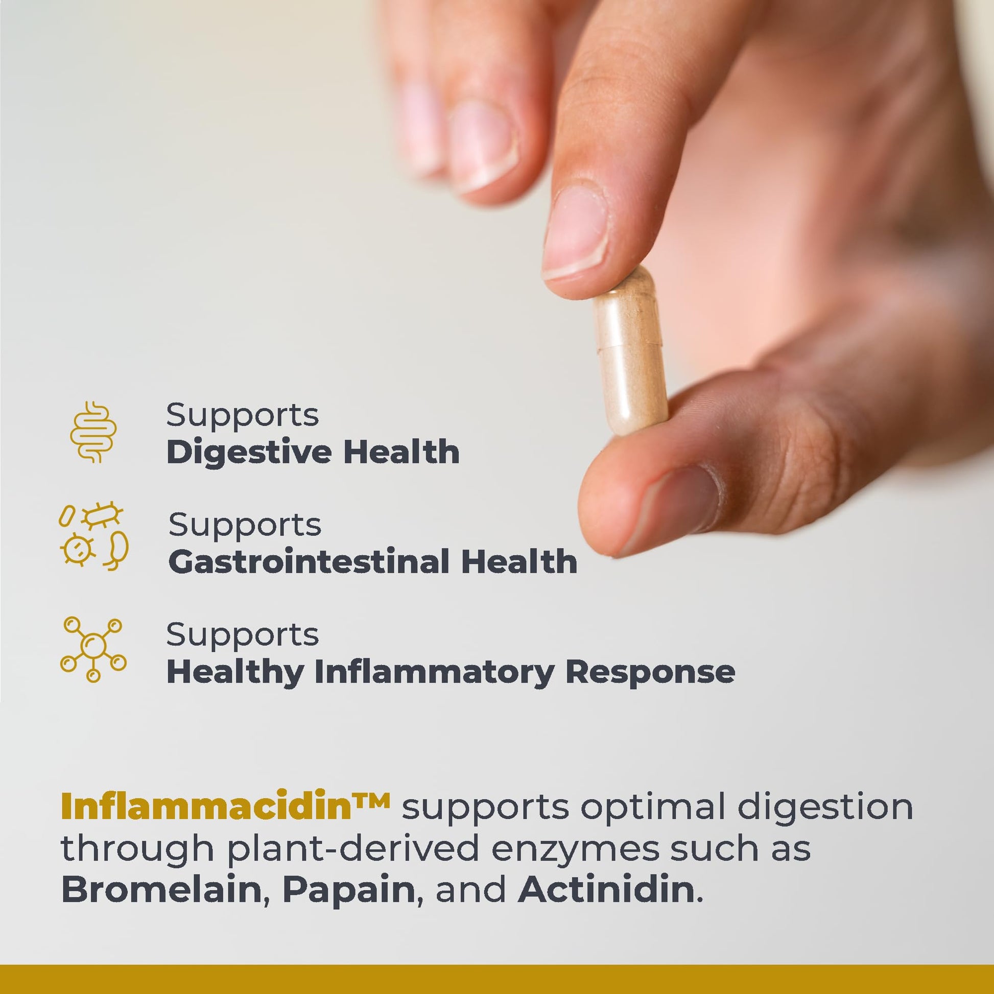 Premier Research Labs Inflammacidin - Digestive Enzymes, Papain from Papaya, and Bromelain Enzymes for Digestion, Plant Enzymes for Women & Men, Vegan Friendly - 90 Vegetarian Capsules - dailyvitalstore