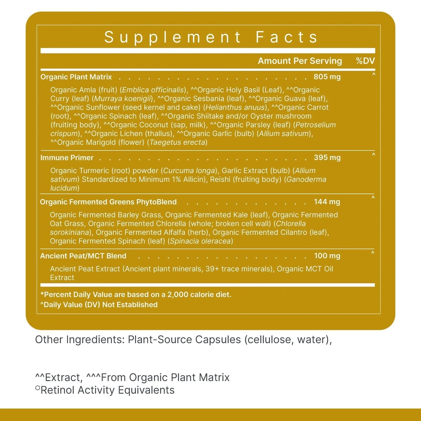 Premier Research Labs Multi-Vitamin - Immune, Brain & Heart Support | with Prebiotics and Postbiotics | Vegan Capsules for Men & Women - dailyvitalstore