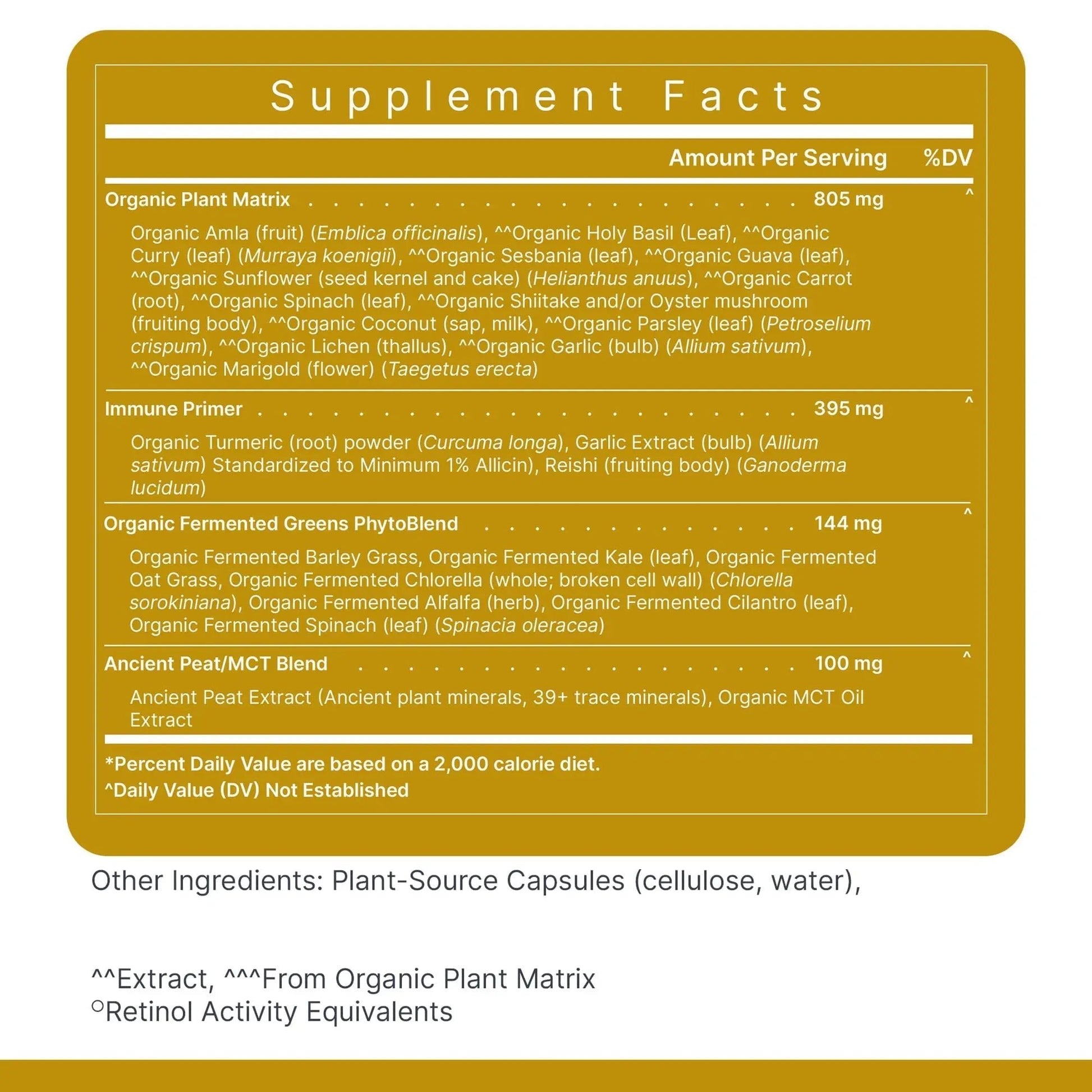 Premier Research Labs Multi-Vitamin - Immune, Brain & Heart Support | with Prebiotics and Postbiotics | Vegan Capsules for Men & Women - dailyvitalstore