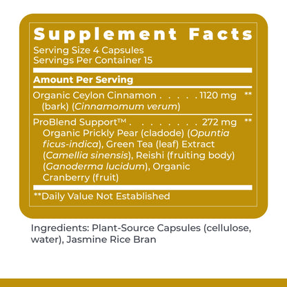 Premier Research Labs PancreVen - Pancreas Support, Pancreas Supplement, Cinnamon Supplements with Organic Ceylon Cinnamon & Prickly Pear to Aid Pancreas Health - 120 Vegetarian Capsules - dailyvitalstore