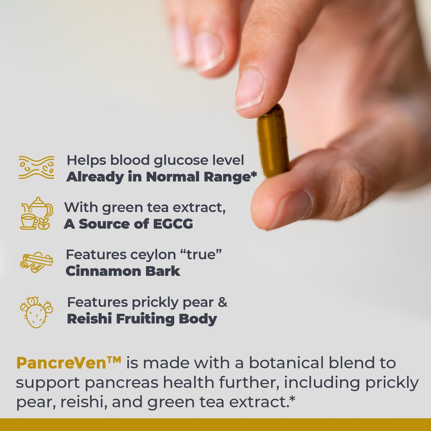 Premier Research Labs PancreVen - Pancreas Support, Pancreas Supplement, Cinnamon Supplements with Organic Ceylon Cinnamon & Prickly Pear to Aid Pancreas Health - 120 Vegetarian Capsules - dailyvitalstore