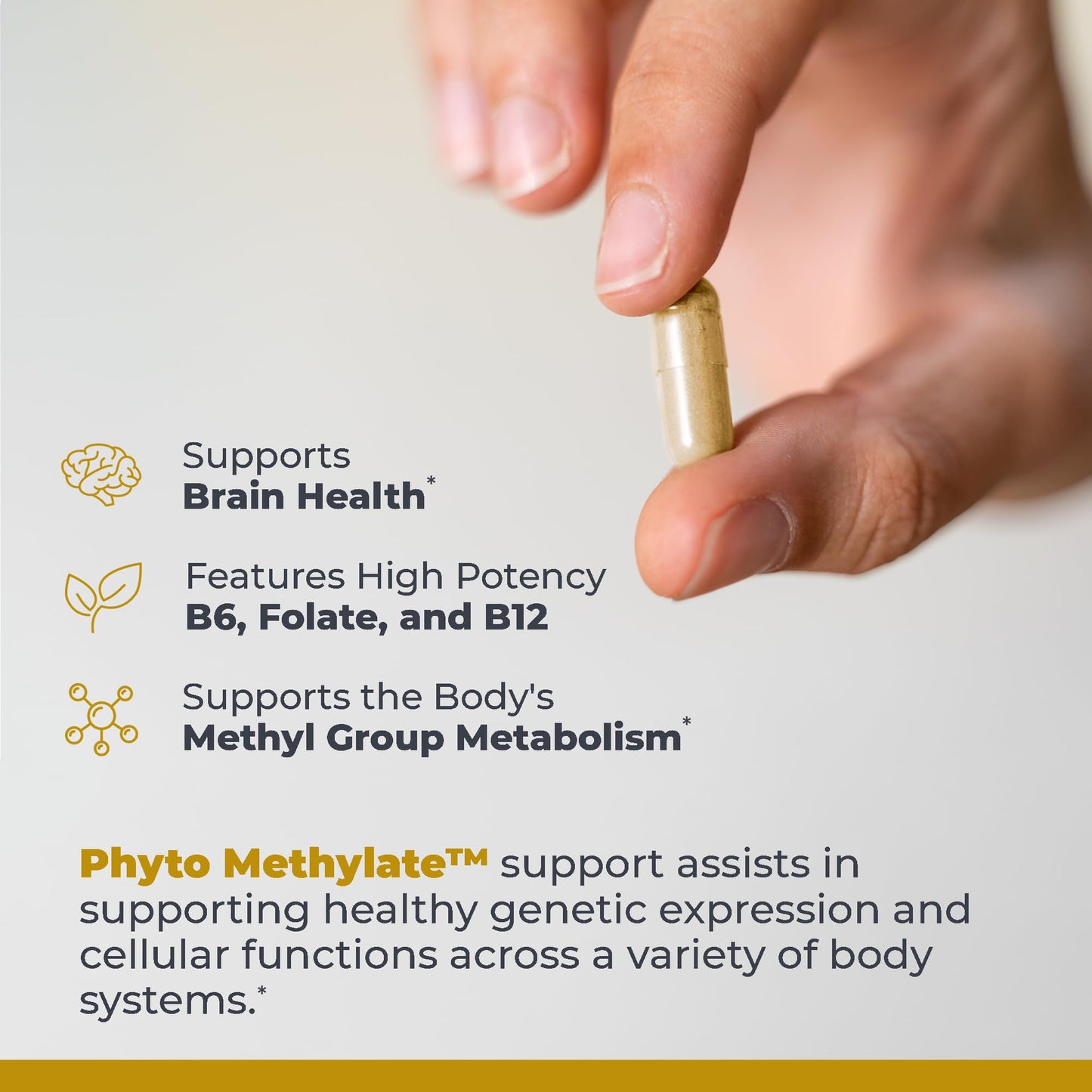 Premier Research Labs Phyto Methylate - B Vitamin Supplement - Supports Methylation, Detox, Brain & Heart Health - 5-MTHF & P5P - 60 Plant-Source Capsules - dailyvitalstore