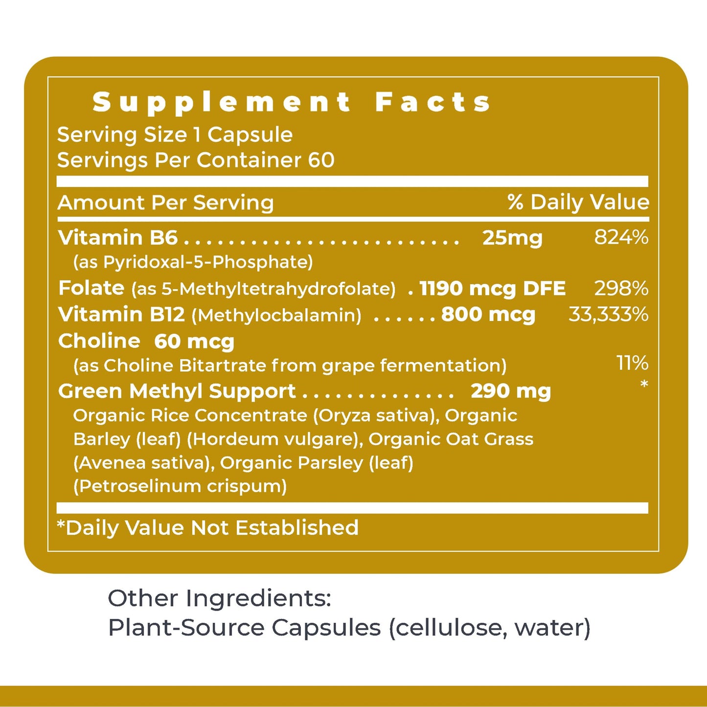 Premier Research Labs Phyto Methylate - B Vitamin Supplement - Supports Methylation, Detox, Brain & Heart Health - 5-MTHF & P5P - 60 Plant-Source Capsules - dailyvitalstore