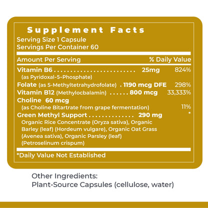 Premier Research Labs Phyto Methylate - B Vitamin Supplement - Supports Methylation, Detox, Brain & Heart Health - 5-MTHF & P5P - 60 Plant-Source Capsules - dailyvitalstore