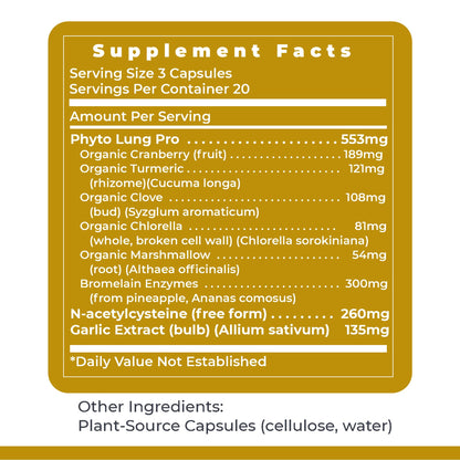 Premier Research Labs PneumoVen - Lung Support Supplement w/Bromelain & NAC, Lung Health Support Vitamins, Lung Cleanse - 60 Capsules - dailyvitalstore