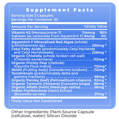Premier Research Labs Premier Bone Health - Bone Health Vitamins, Bone Strength Supplement for Women & Men, Calcium Supplement with Vitamin K2, Healthy Bone Support - 90 Capsules - dailyvitalstore