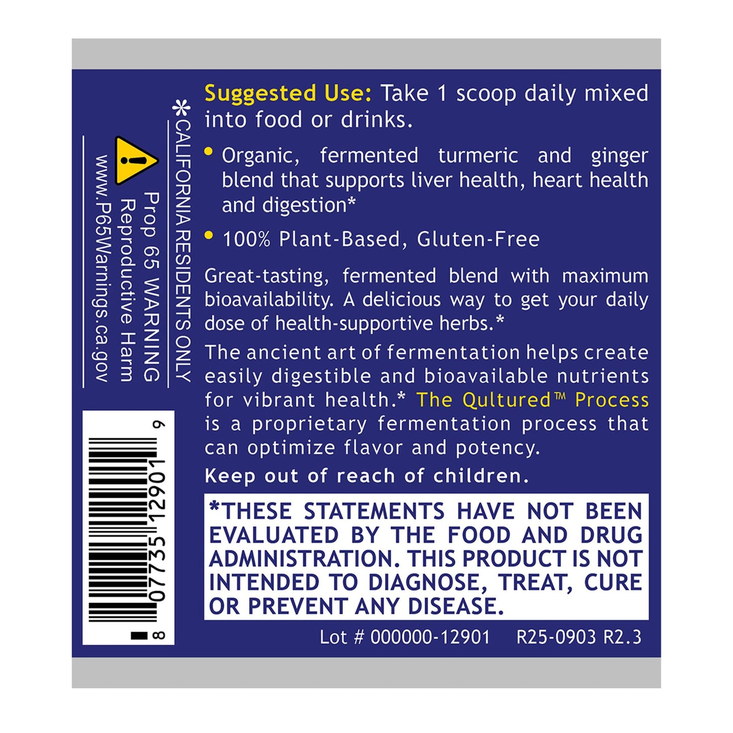 Premier Research Labs Premier Fermented Turmeric/Ginger Root - Probiotic Fermented Turmeric & Ginger Powder Supplement, Active Curcuminoids, Herbal Supplement - 4.7 Oz - dailyvitalstore