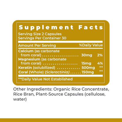 Premier Research Labs Premier Hair/Skin/Nails - Hair Growth Supplement for Women & Men with Keratin, Vitamins for Hair Growth, Beauty from Within for Hair, Skin and Nails - 60 Vegetarian Capsules - dailyvitalstore