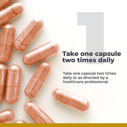 Premier Research Labs Premier NAC - NAC Supplement N-Acetyl Cysteine, N-Acetyl-L-Cysteine, Liver & Immune Support, 300mg NAC Per Capsule - 60 Vegetarian Capsules - dailyvitalstore