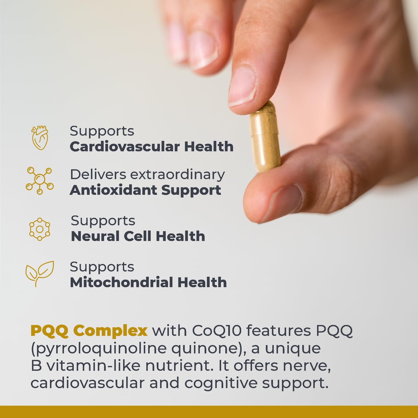 Premier Research Labs Premier PQQ Complex with CoQ10 - Coenzyme Q10, Co Q 10 Supplement with Pyrroloquinoline Quinone (PQQ) for Antioxidant, Brain & Heart Support - 60 Vegetarian Capsules - dailyvitalstore