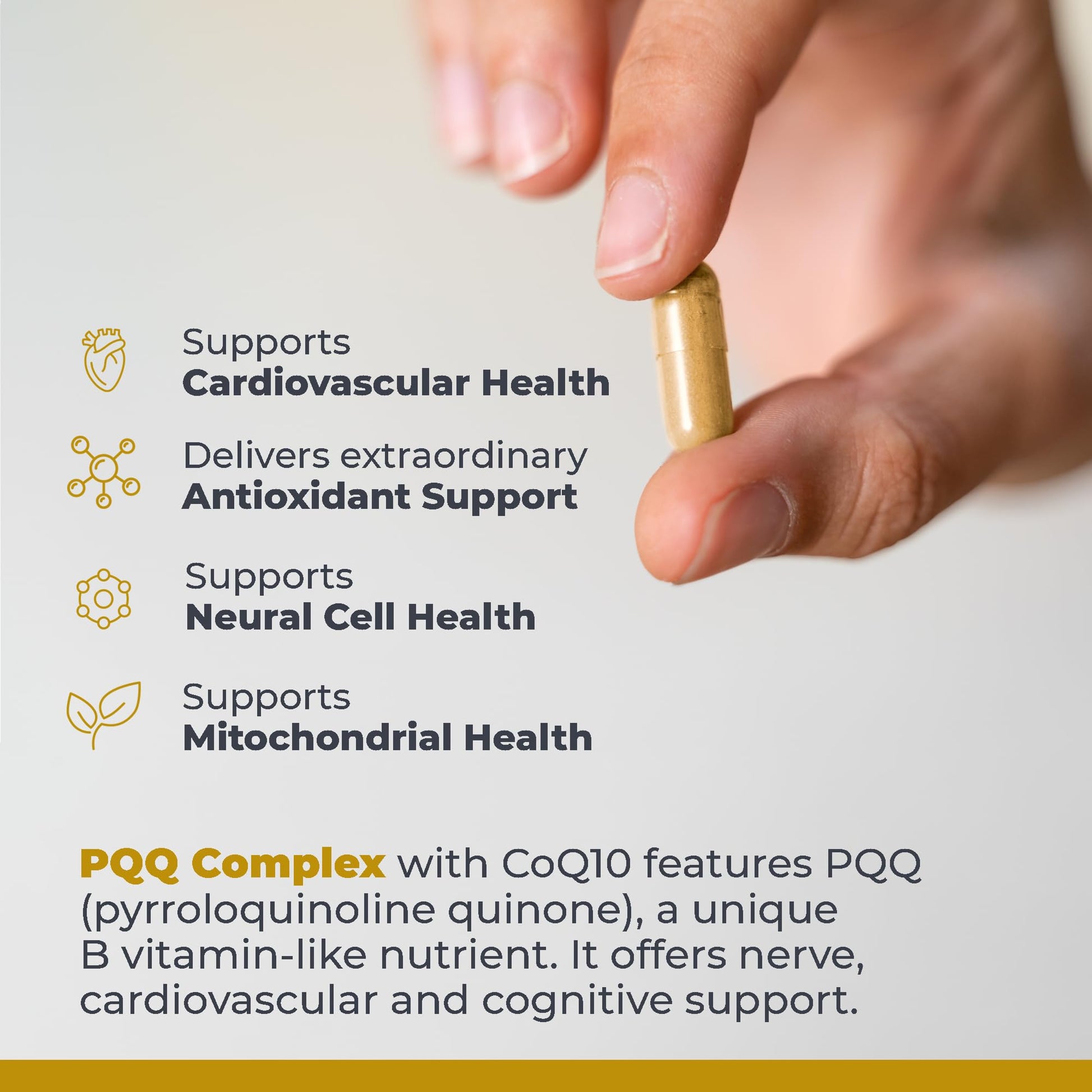 Premier Research Labs Premier PQQ Complex with CoQ10 - Coenzyme Q10, Co Q 10 Supplement with Pyrroloquinoline Quinone (PQQ) for Antioxidant, Brain & Heart Support - 60 Vegetarian Capsules - dailyvitalstore