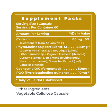 Premier Research Labs Premier PQQ Complex with CoQ10 - Coenzyme Q10, Co Q 10 Supplement with Pyrroloquinoline Quinone (PQQ) for Antioxidant, Brain & Heart Support - 60 Vegetarian Capsules - dailyvitalstore