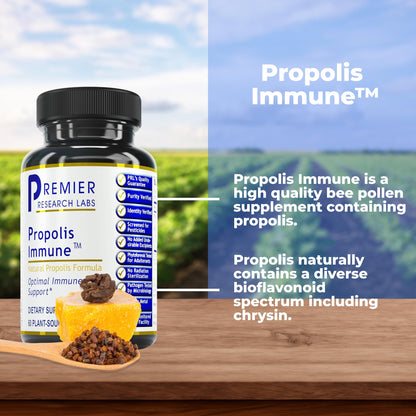 Premier Research Labs Propolis Immune - Bee Propolis Capsules, Bee Pollen Supplement, Propolis Extract Pills for Women & Men, Promotes Immune Health - 60 Vegetarian Capsules - dailyvitalstore