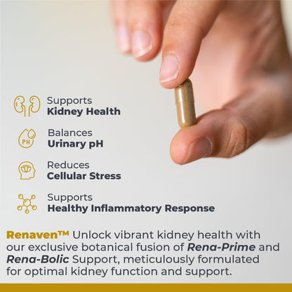 Premier Research Labs RenaVen - Premier Kidney Support for Kidney Cleanse Detox and Repair | Improve Kidney Function and Urinary Support with Fermented Cordyceps - 60 Plant-Source Capsules - dailyvitalstore
