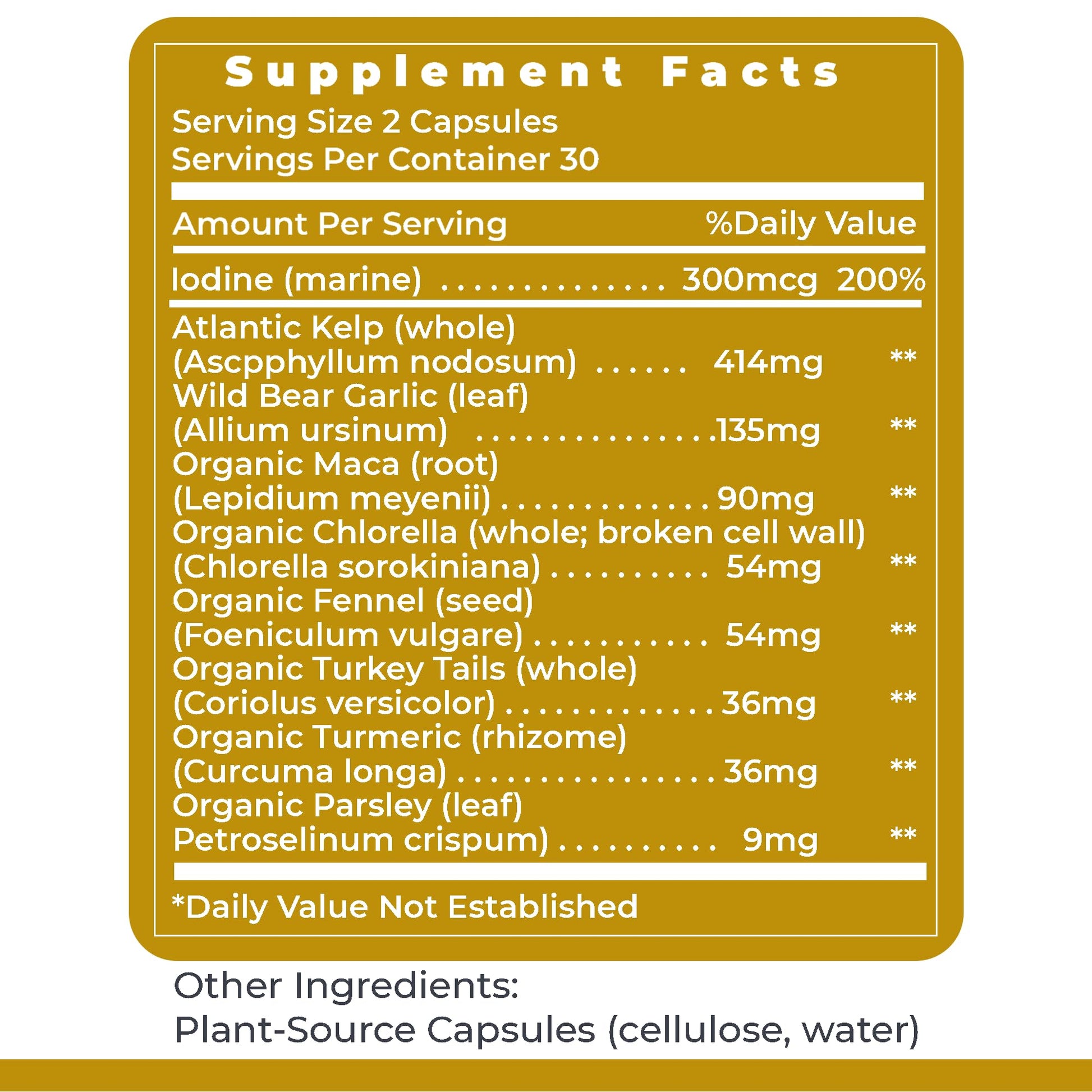 Premier Research Labs ThyroVen - Thyroid Support for Women, Thyroid Support for Men, Thyroid Supplement, Thyroid Support Complex with Naturally-Sourced Iodine - 60 Capsules - dailyvitalstore
