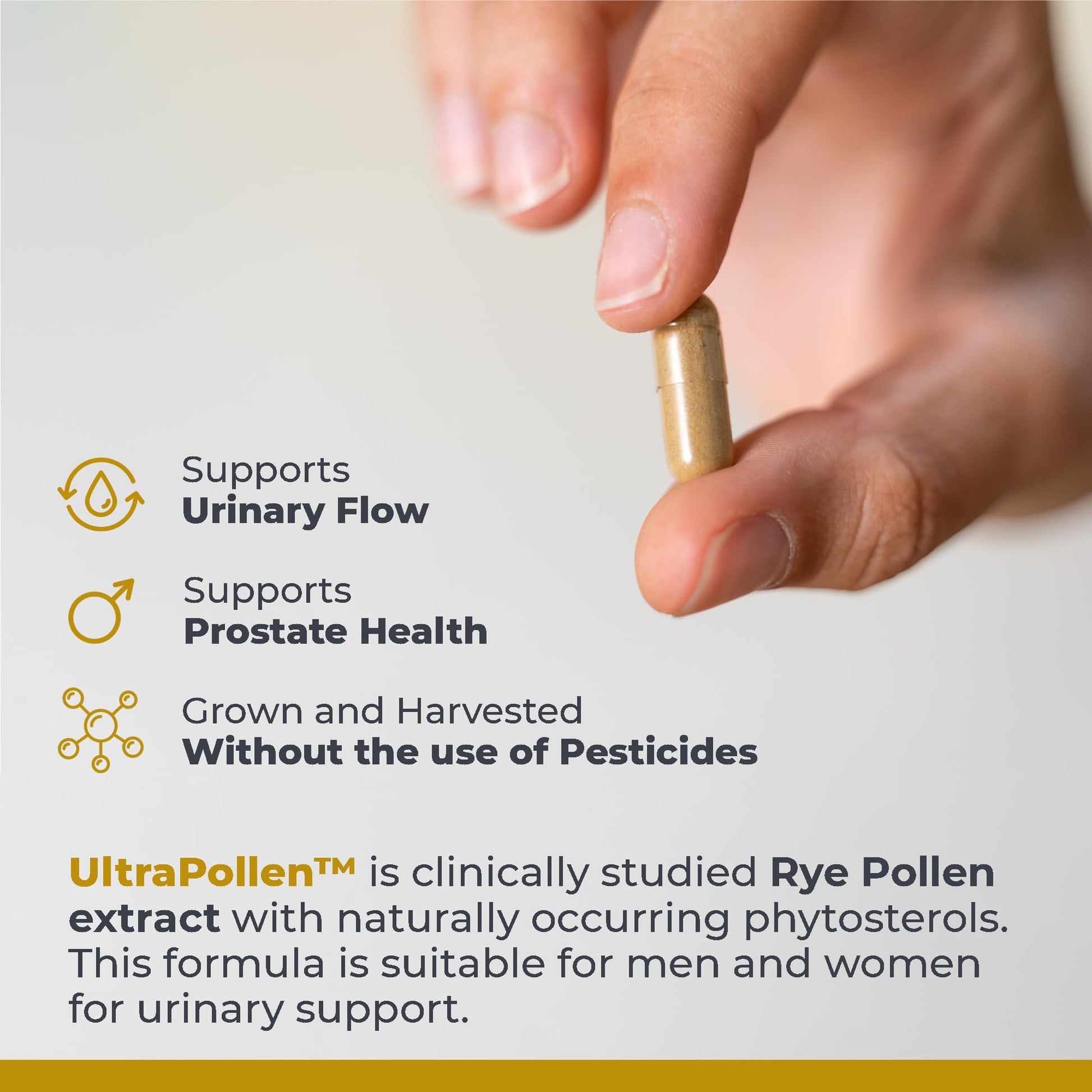 Premier Research Labs UltraPollen - Bee Pollen Supplement, Rye Pollen Extract, Prostate Health, Bee Pollen Extract from Rye Flower with Amino Acids, Supplement for Men & Women- 45 Vegetarian Capsules - dailyvitalstore