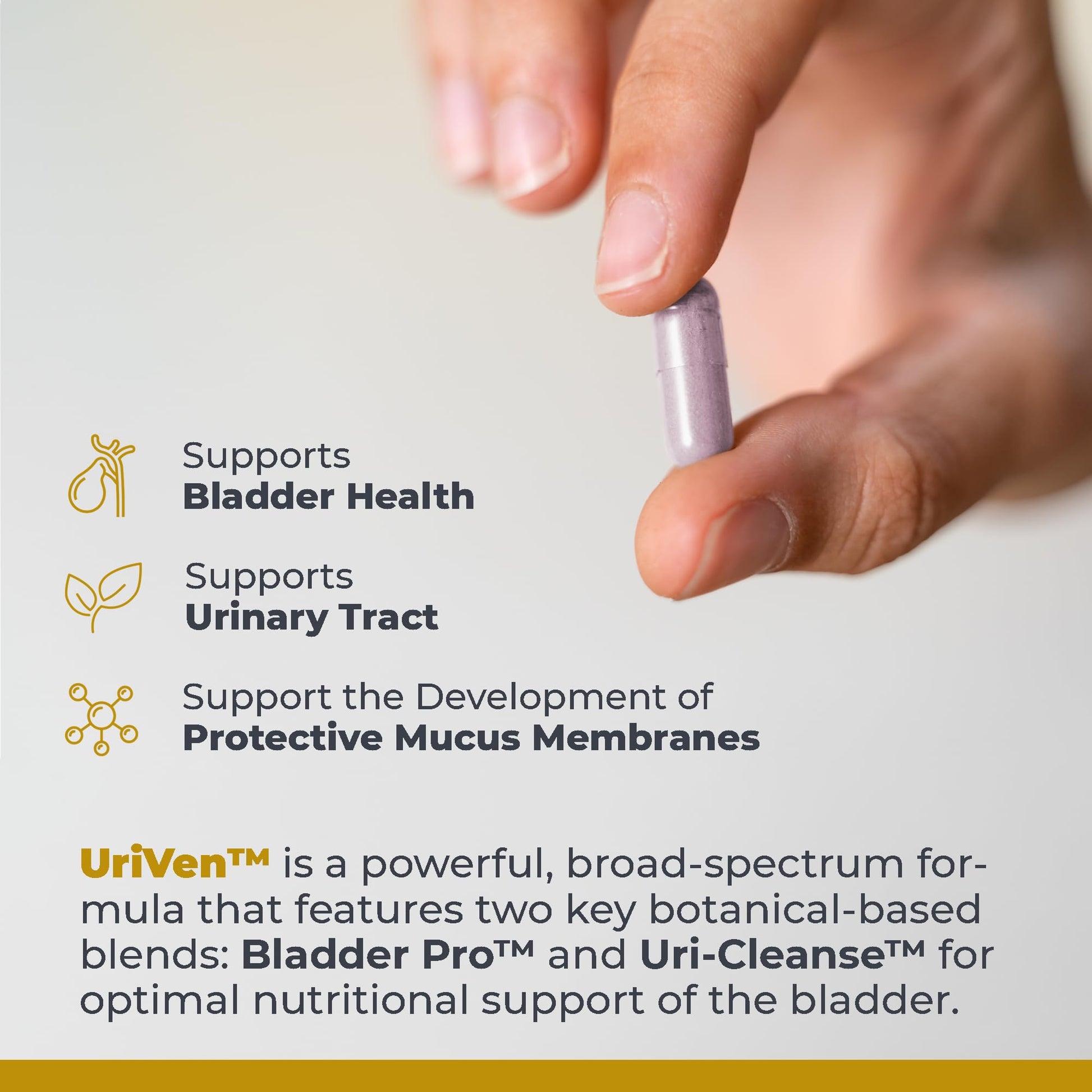 Premier Research Labs UriVen - Bladder Health Support for Women & Men, Cranberry Extract & Marshmallow Root, Urinary Relief, Bladder Relief, Bladder Control Supplement - 60 Vegetarian Capsules - dailyvitalstore