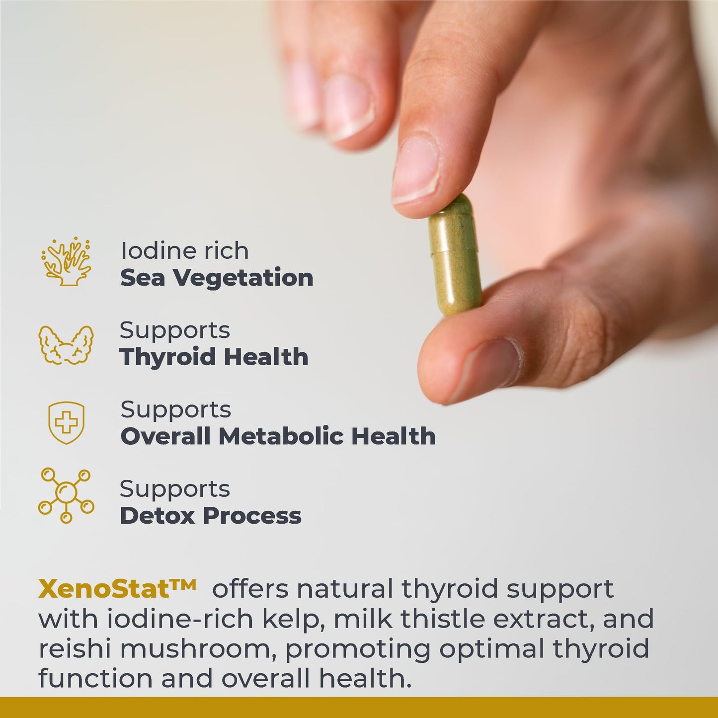 Premier Research Labs XenoStat - Thyroid Supplement, Thyroid Support for Women & Men, Iodine Supplement, Hormone Support, Thyroid Support Complex Supplement - 90 Capsules - dailyvitalstore