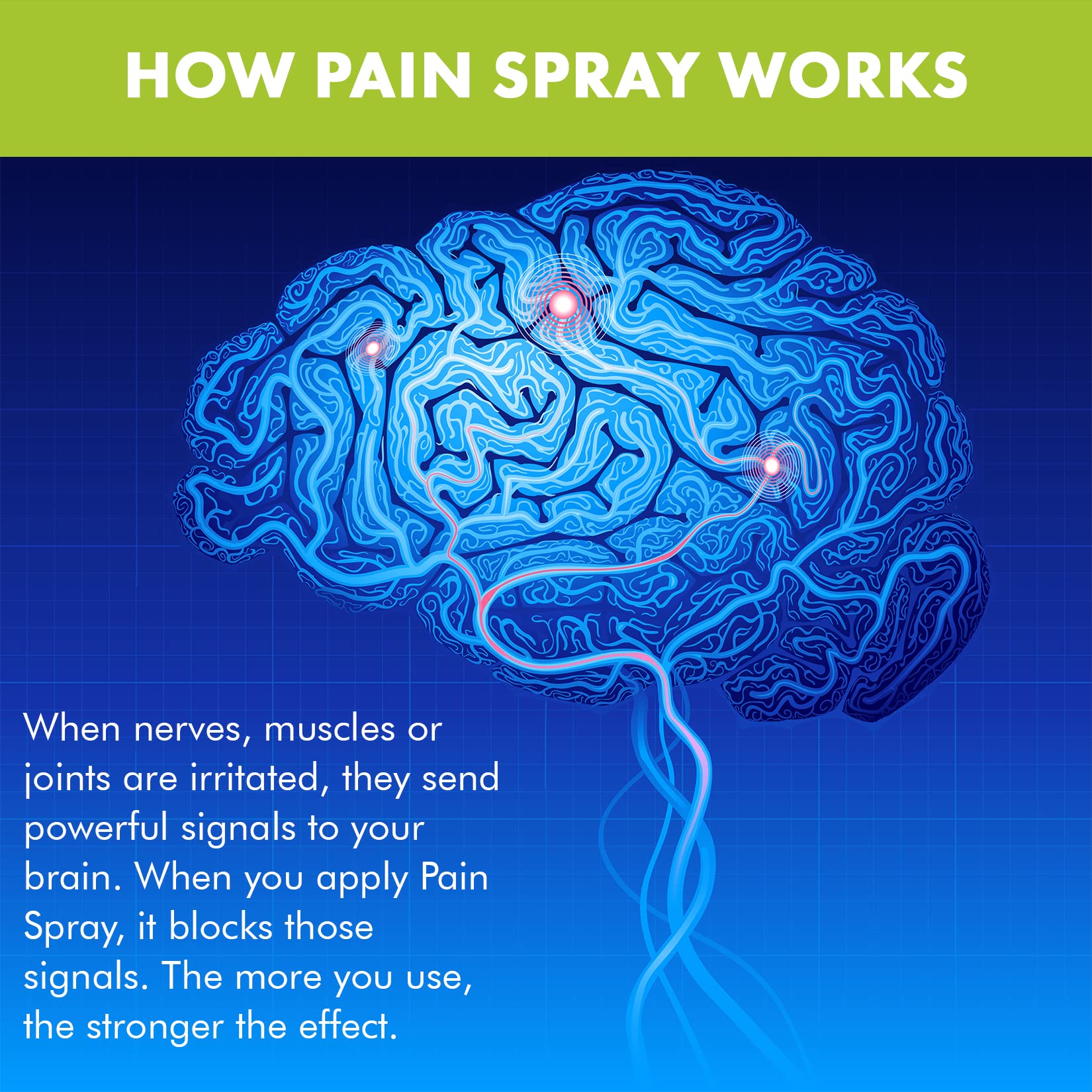 Premiere's Pain Spray All-Natural Menthol & Peppermint Roller Herbal Blend for Joint and Nerve Pain, Muscle Soreness, Sprains, Cramps, Sports Injuries, Back Pain & Neck Shoulder Aches - 3 Pack - dailyvitalstore