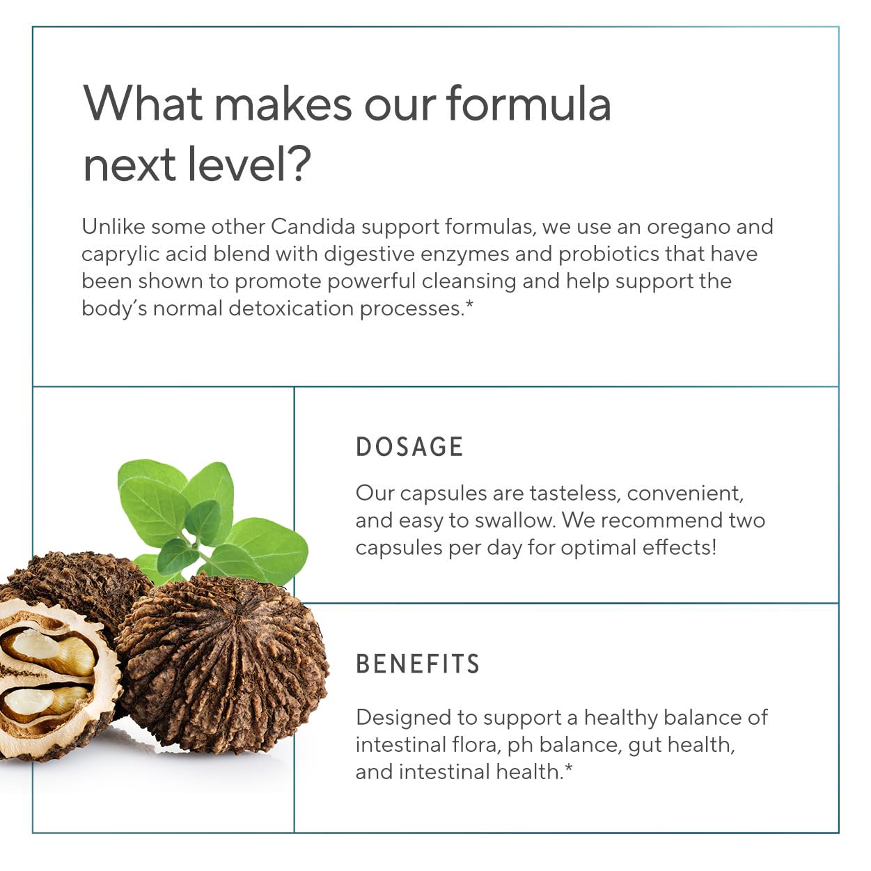 Premium Candida Cleanse Supplement – Candida Support Supplement with Oregano, Caprylic Acid, Black Walnut & Probiotics – Supports Gut Health, - dailyvitalstore