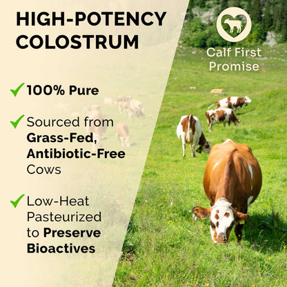 Premium Colostrum Supplement Highest IgG for Gut Health, Immune Support & Recovery Superfood, Anti-Age - Pure Grass-Fed Bovine Colostrum Powder - dailyvitalstore