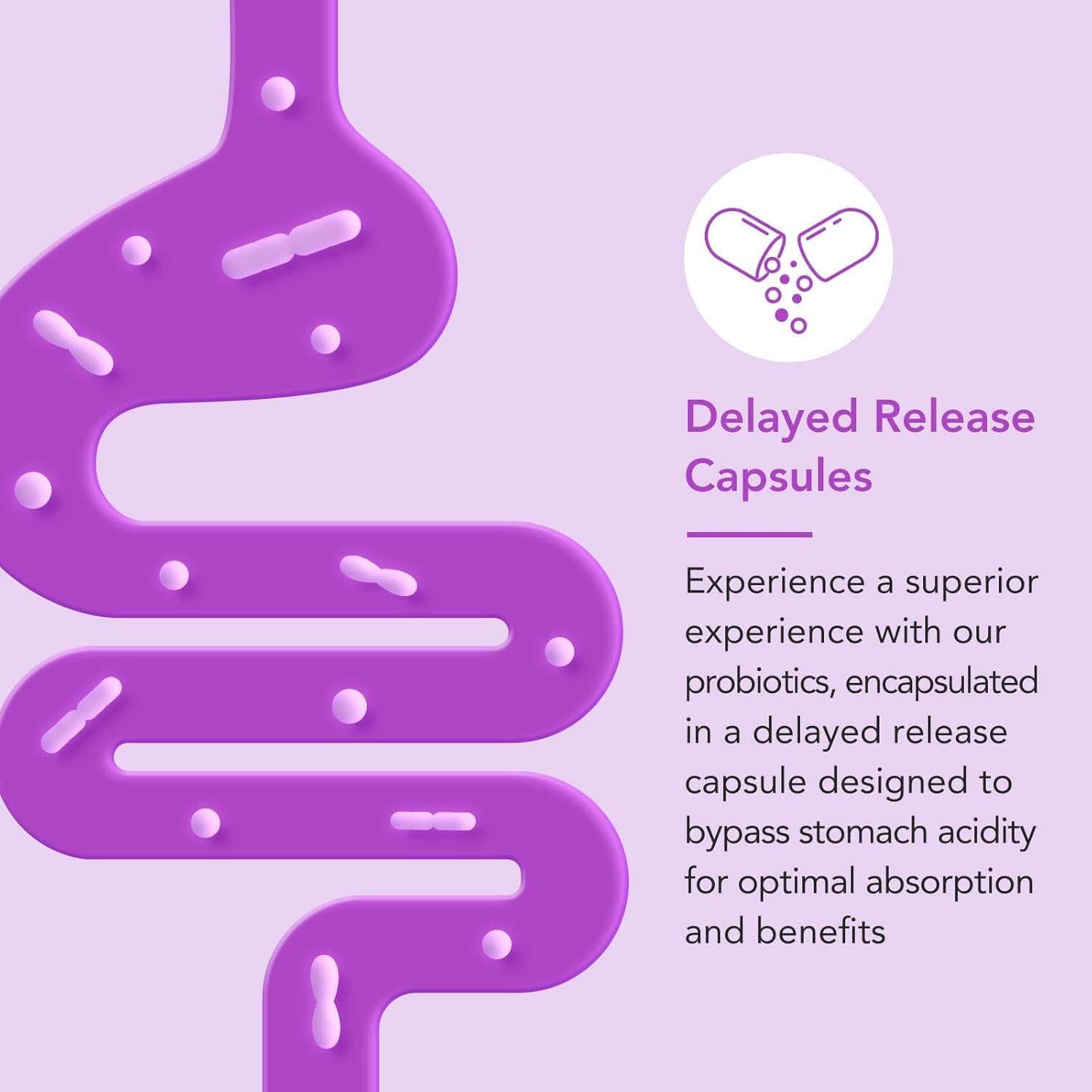 Premom Prenatal Prebiotics & Probiotics for Women, 30 Billion CFU, 18 Strains, Organic Prebiotic & Womens Probiotic, Vaginal, Gut, & Digestive Health + Immune Support Supplement - dailyvitalstore