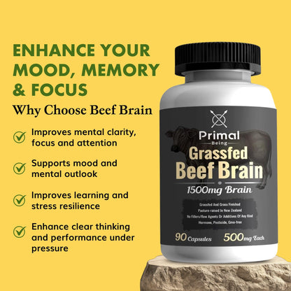 Primal Being Grassfed Beef Brain, Supports Memory, Mood, Focus, Energy, Cognitive Health - 90 Capsules, 1500mg per Serving - dailyvitalstore