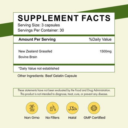 Primal Being Grassfed Beef Brain, Supports Memory, Mood, Focus, Energy, Cognitive Health - 90 Capsules, 1500mg per Serving - dailyvitalstore