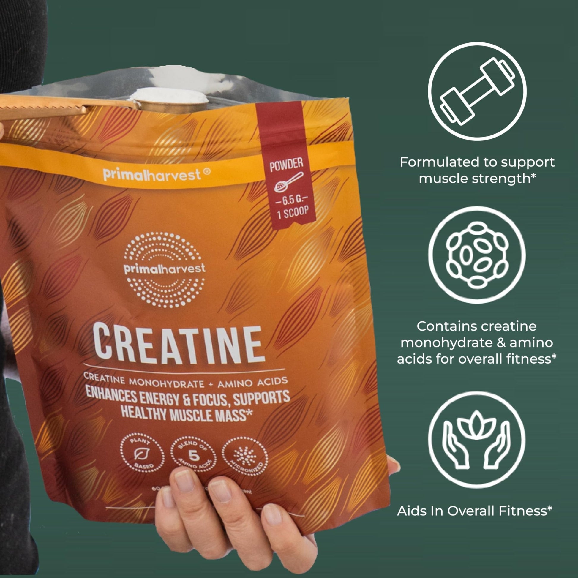 Primal Harvest Creatine Powder Supplement for Men and Women's Fitness, Workouts, and Muscle Growth, to Help Promote Recovery, Strength, Energy, and Endurance (1) - dailyvitalstore