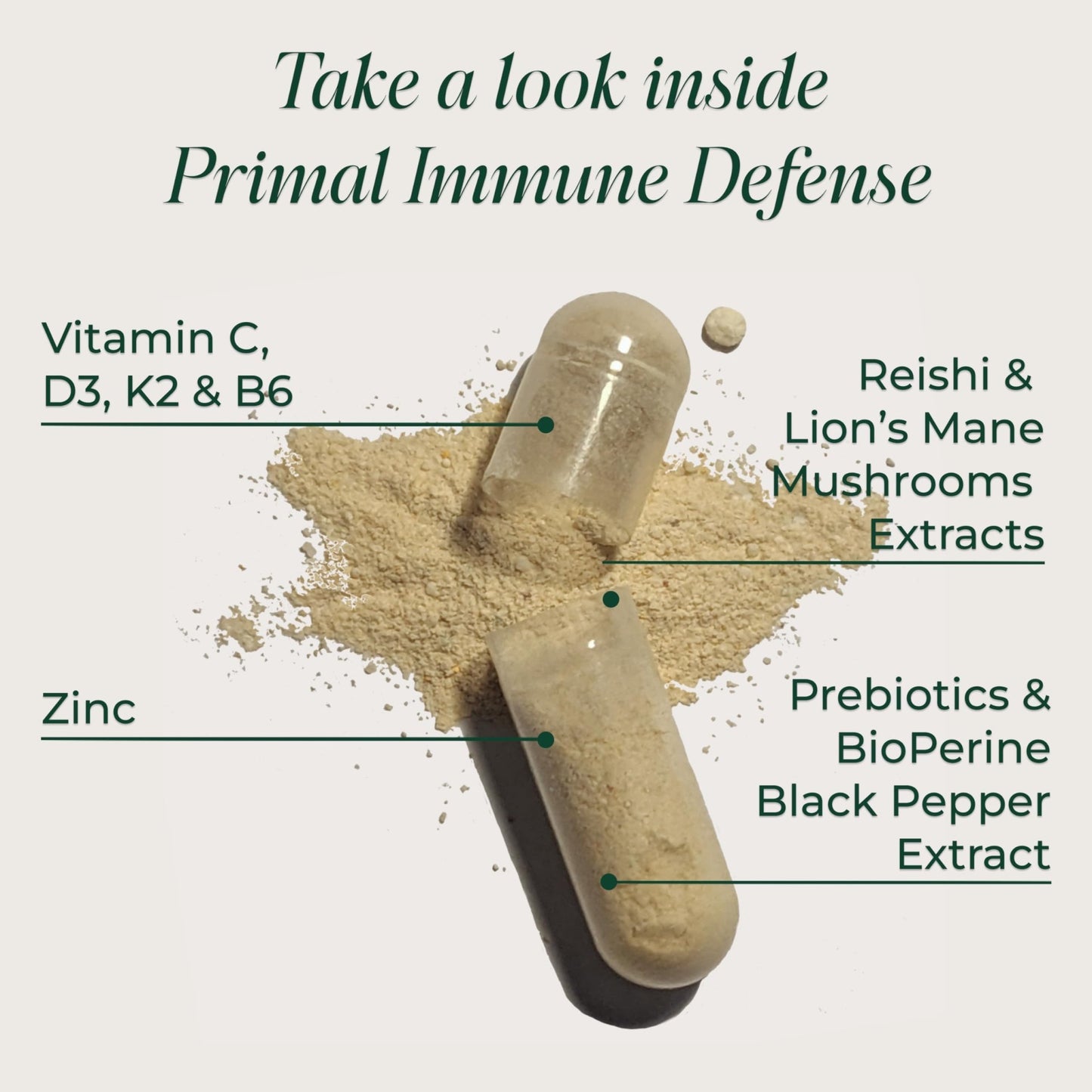 Primal Harvest Immune Defense 10-in-1 Supplement with Probiotics, Zinc, and Vitamins C, D3, K2, B6 Daily Immune Support for Adults - dailyvitalstore