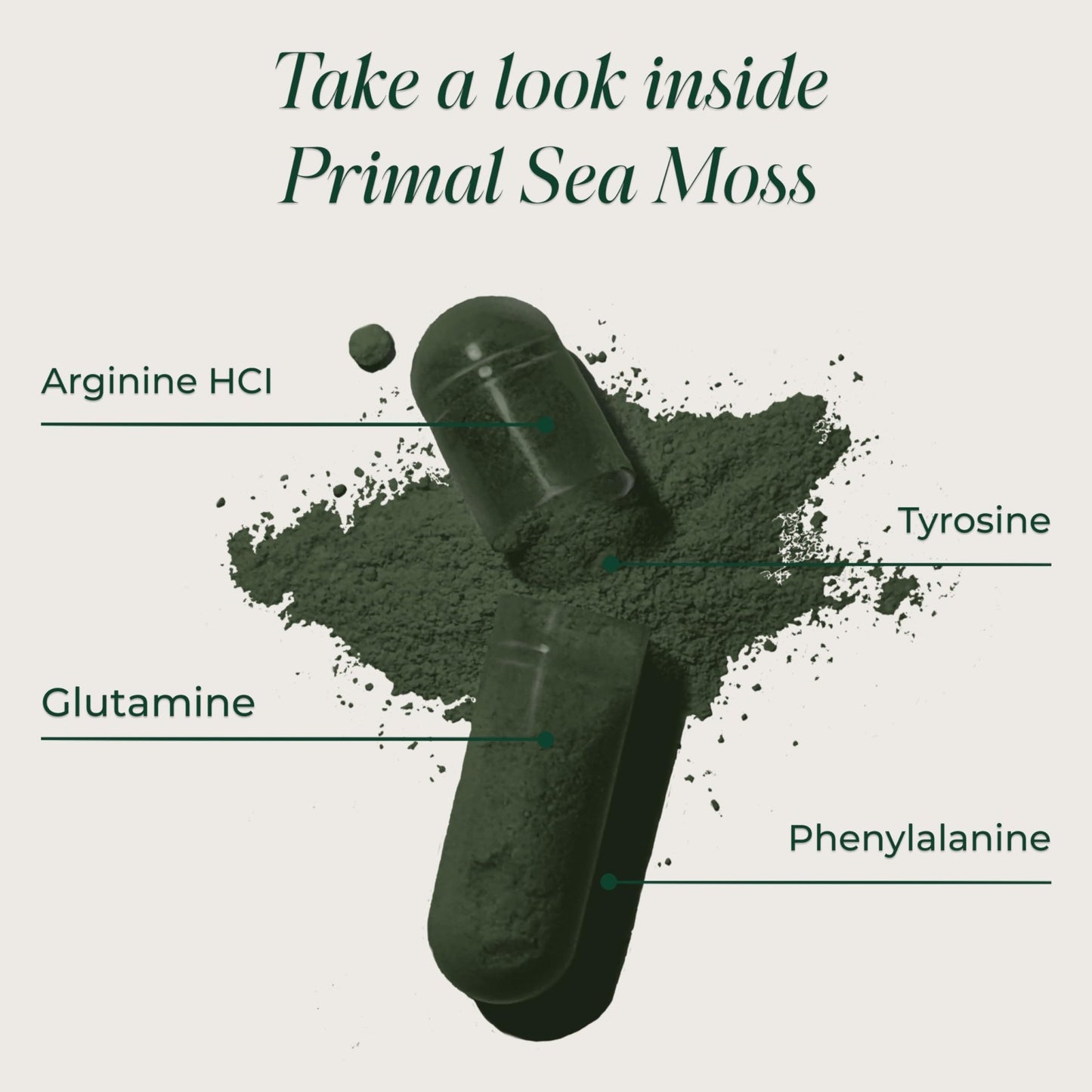Primal Harvest Sea Moss Capsules with Bladderwack and Irish Sea Moss, Chlorella, Broccoli Seed Extract Plant-Based Supplements for Adults - dailyvitalstore
