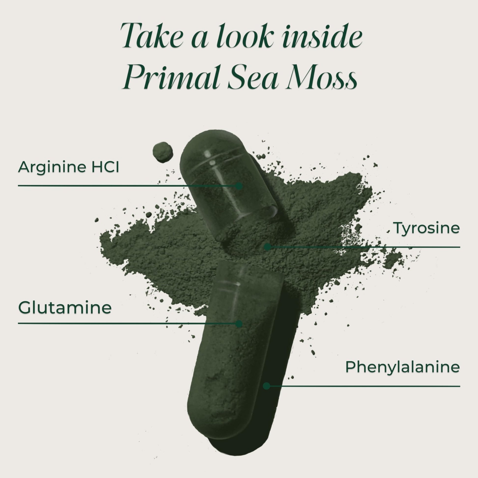Primal Harvest Sea Moss Capsules with Bladderwack and Irish Sea Moss, Chlorella, Broccoli Seed Extract Plant-Based Supplements for Adults - dailyvitalstore