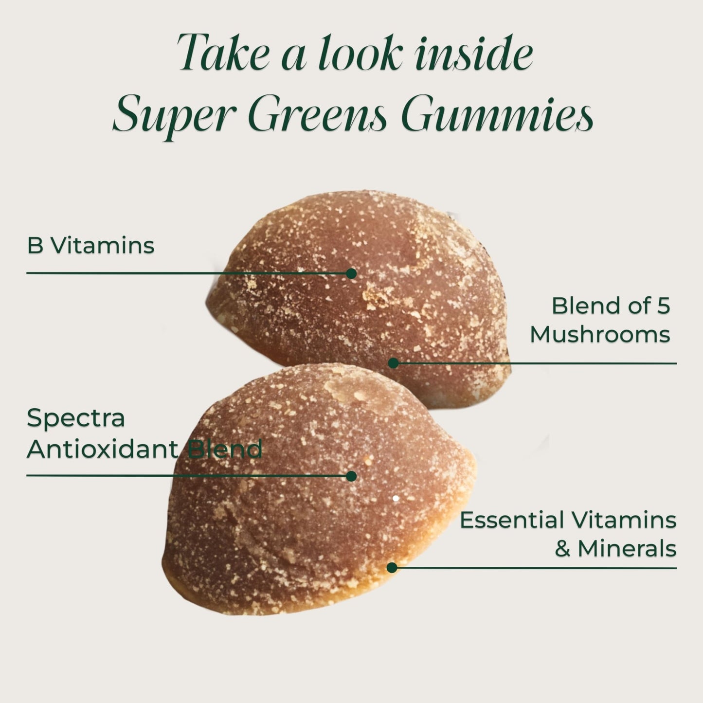 Primal Harvest Super Greens Gummies, Superfood Blend with Adaptogenic Mushrooms Vitamins & Nutrient-Rich Minerals & Antioxidants for Energy & Immune Support 1 Pack 60 Count, - dailyvitalstore