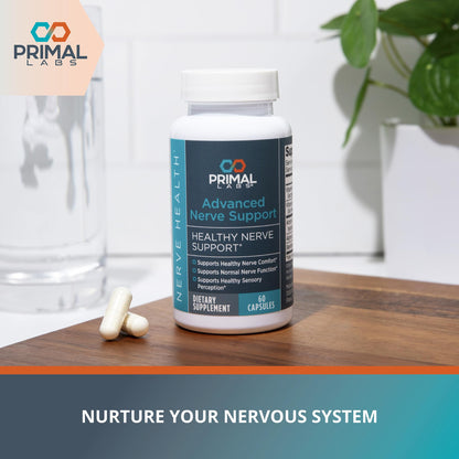 Primal Labs Nerve Support Capsules - Supports Nerve Health, Sensory Function & Comfort - Benfotiamine, Alpha Lipoic Acid, Acetyl L-Carnitine, Vitamins B6 B12-60 Count - dailyvitalstore